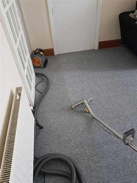 clean carpets plymouth england