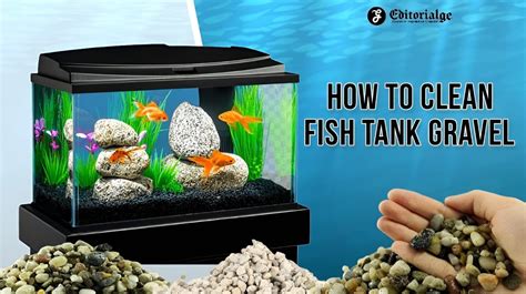 clean fish tank gravel and replace