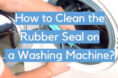 Clean Inside Washing Machine Seal