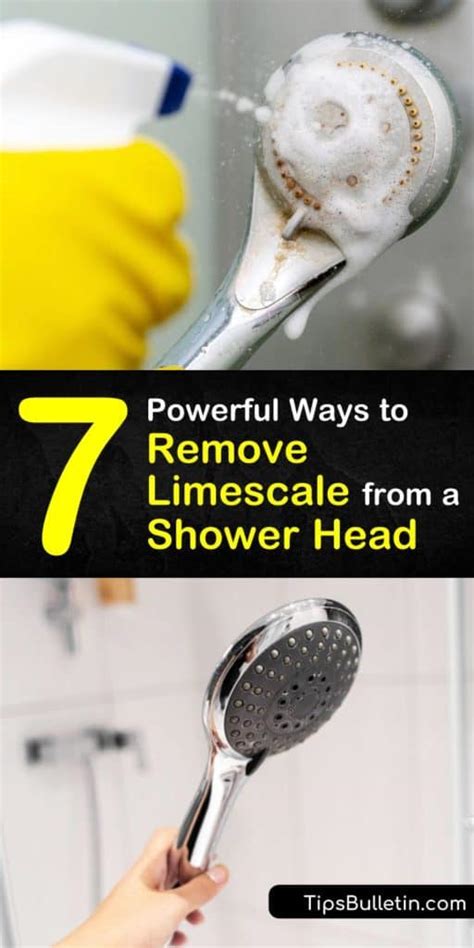 Clean Limescale Off Shower Head