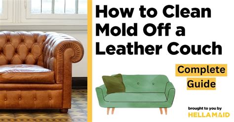 Clean Mold Leather Couch