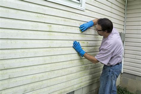 clean mold off siding house