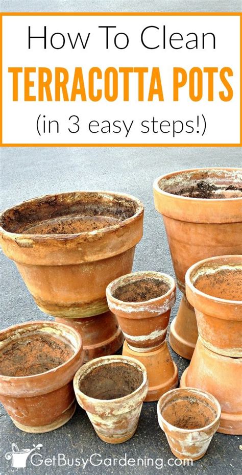 How To Clean Terracotta Pots DecorHint