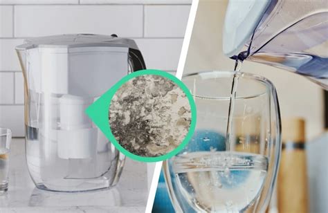 clean vs dirty brita filter