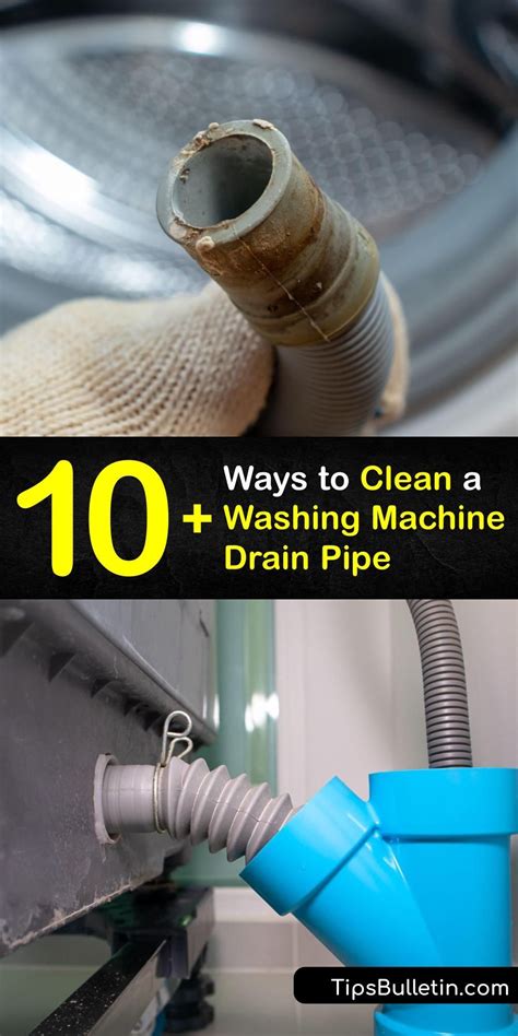 Clean Washing Machine Drain Trap