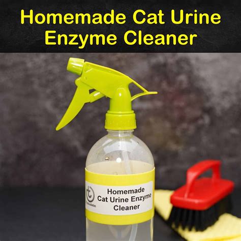 Cleaners For Cat Pee