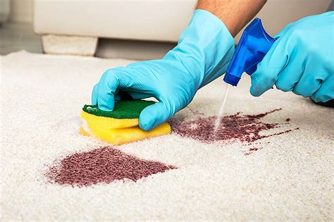 Removing Acrylic Paint from Carpet Clear Choice Cleaning Services