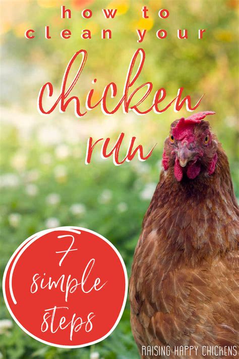 Cleaning A Chicken Run
