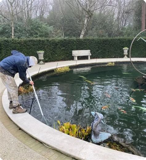 cleaning a fish pond