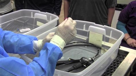 Cleaning An Endoscope Veterinary