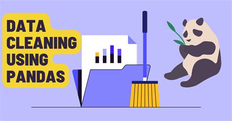 cleaning data in python pdf
