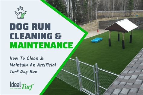 Cleaning Dog Run