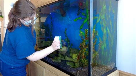 Cleaning Fish Tank Services