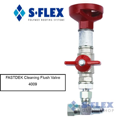 Cleaning Flush Valve