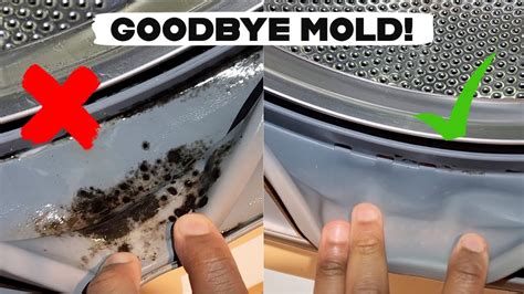 Cleaning Front Load Washer Mold