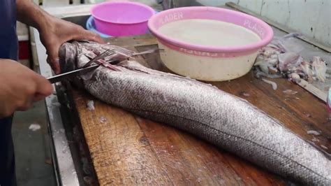 Cleaning Hake Fish