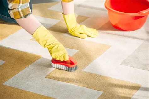 Cleaning Rug With Borax