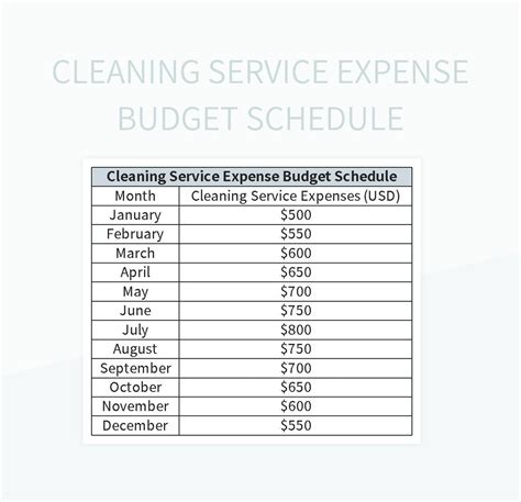 Cleaning Services Expenses