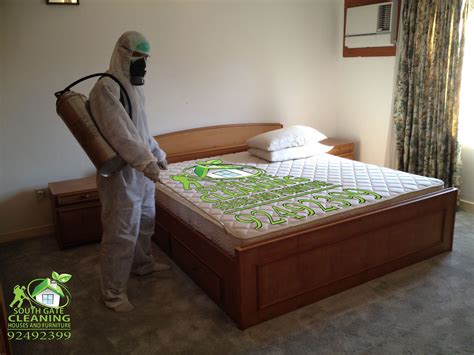 Cleaning Services For Bed Bugs
