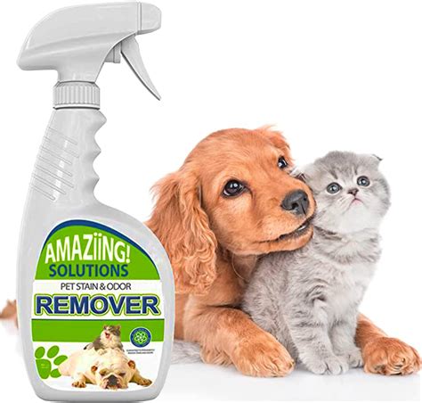 Cleaning Solution For Dog Pee On Couch