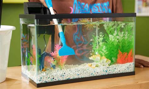 Clean up and maintenance for used fish tanks