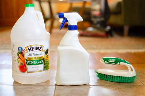Cleaning With Vinegar For Ants