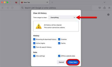 Clear browser cache and cookies guide