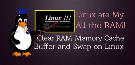 Clear Cache Buffer Linux