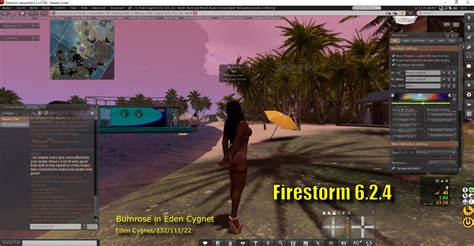 clear cache second life firestorm