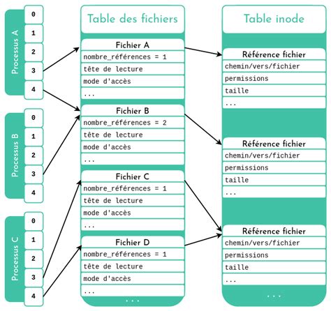 Clear File Descriptor C