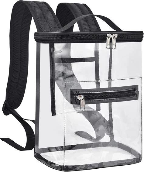 Clear Tinted Backpack