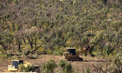 clearing native vegetation in south australia