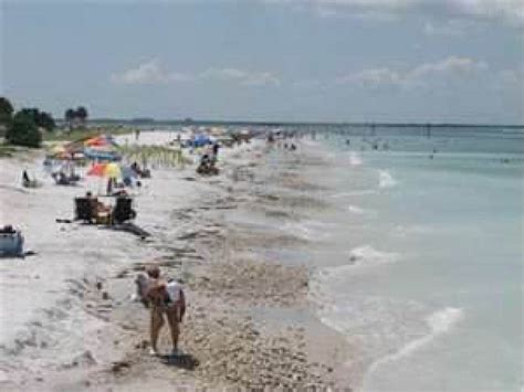 clearwater beach bacteria levels