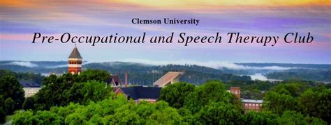 5 Ways Clemson Occupational Therapy Helps