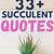 clever succulent quotes