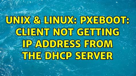 client not getting ip from dhcp server