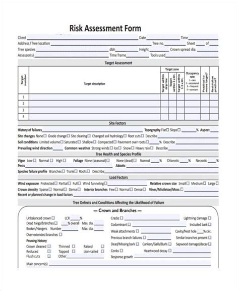 client risk assessment template