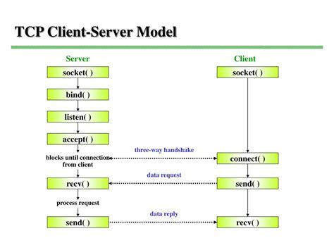 Client Server Tcp Example