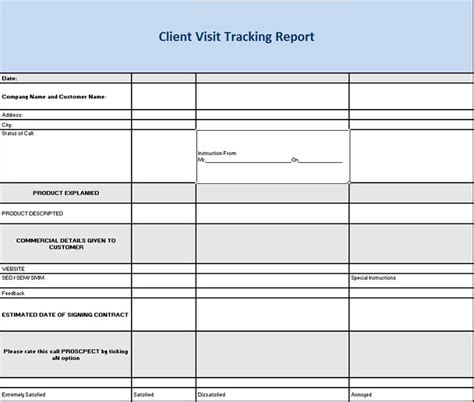 client visit report format excel