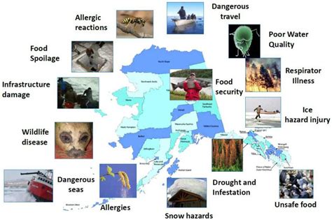 climate change effects in alaska