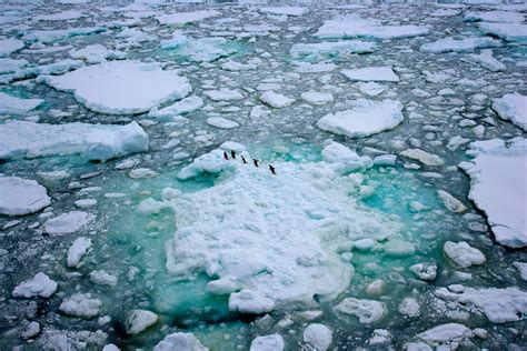 climate change effects on antarctica