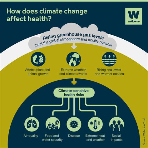 climate change effects on public health