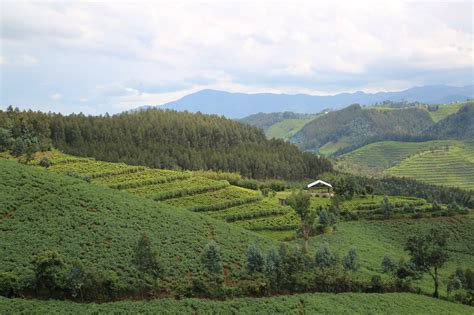 climate change policy in rwanda