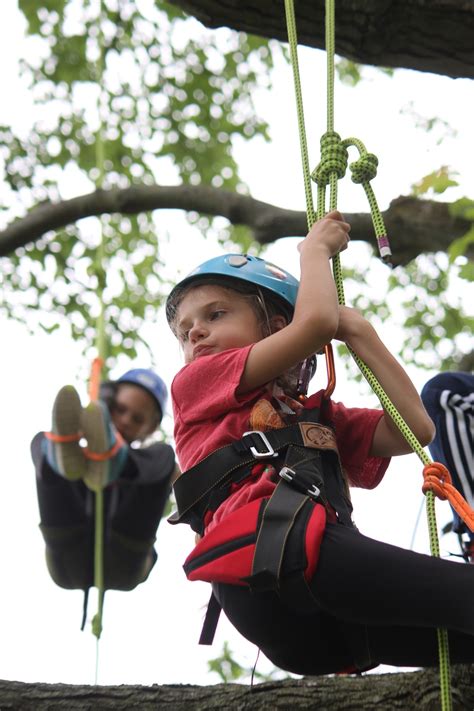 Climb Trees Examples