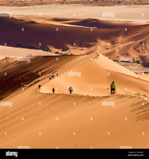 climbing big daddy dune