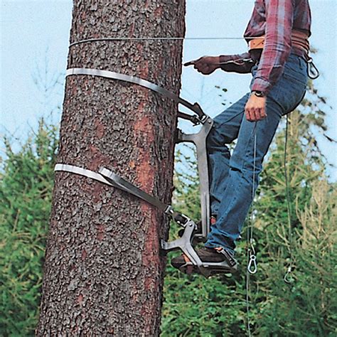 Climbing Equipment For Trees