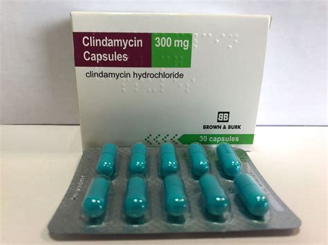 Clindamycin Hydrochloride for Dogs Cats Generic (brand may vary) Safe