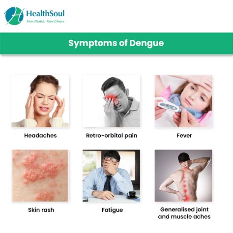 clinical features of dengue fever