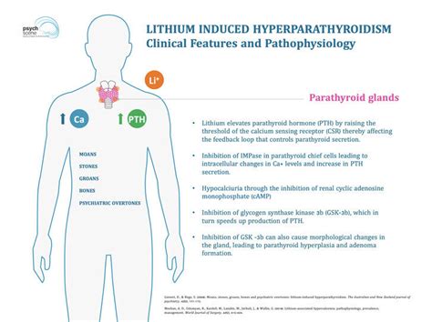 Uncovering the Clinical Features of Hyperparathyroidism: Key Signs and Symptoms Revealed