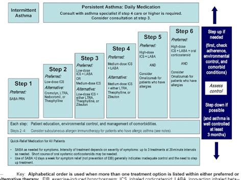 Updated Clinical Guidelines for Asthma Management and Treatment